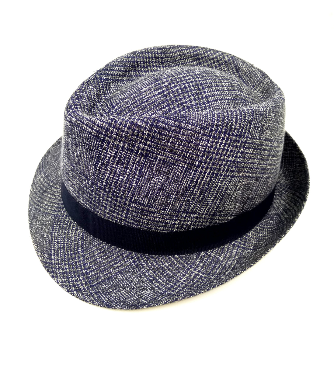 W.Beagle Dubai Hat El triunfo Velayos